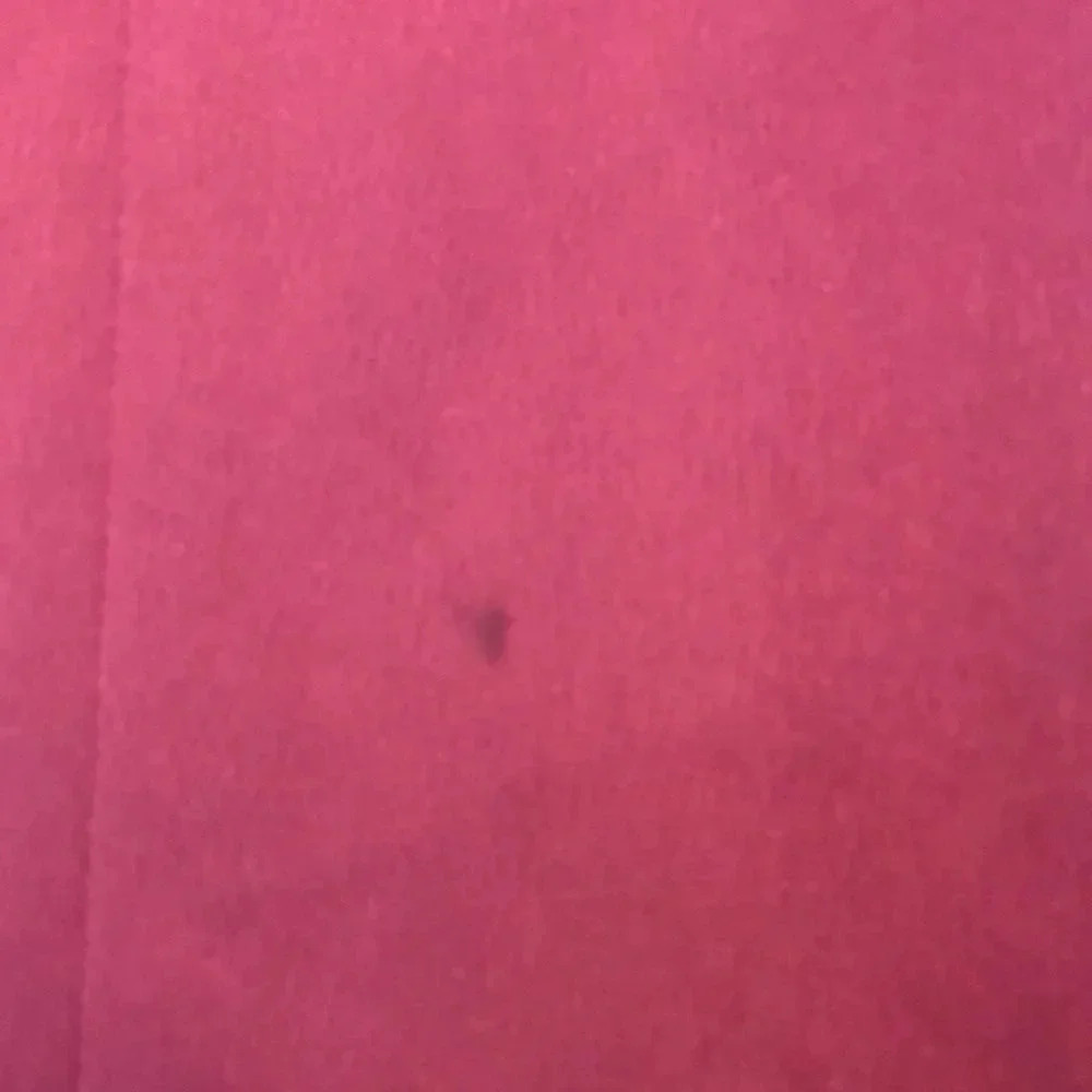 Nwot Universal Standard Raspberry Short Sleeved D… - image 3